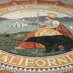 Ninth Circuit to Revisit Background Checks on Ammo Case | An Official Journal Of The NRA