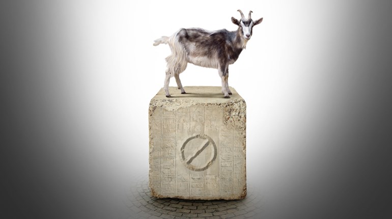 A Sacrifice Must Be Made | An Official Journal Of The NRA