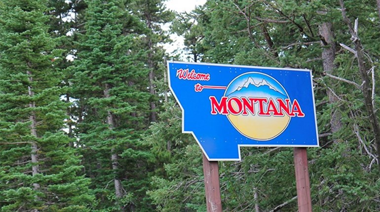 States Say No to Backdoor Firearms Registration | An Official Journal Of The NRA