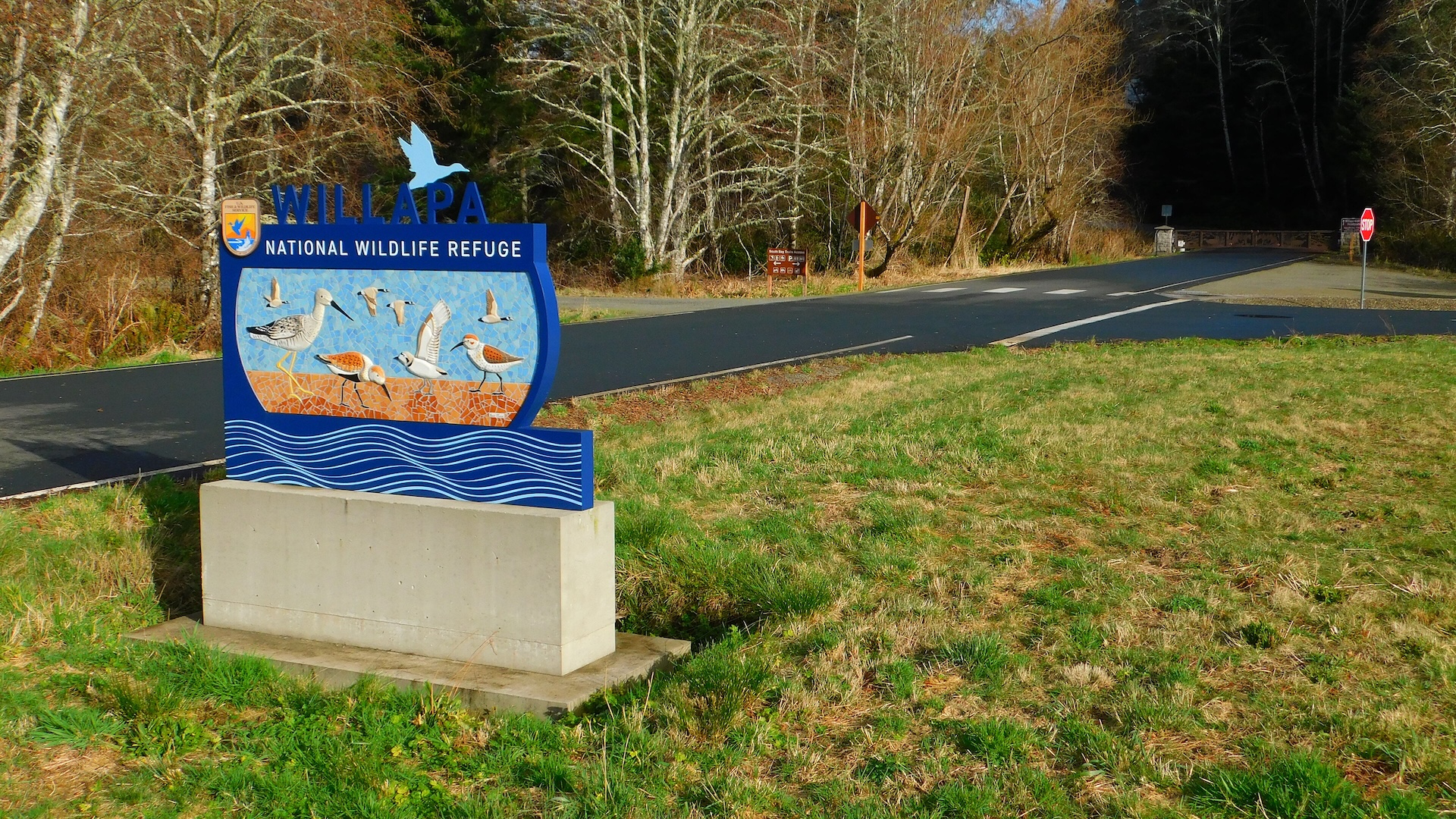 Willapa National Wildlife Refuge 01