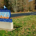 Gun Owners Paid for This Access | An Official Journal Of The NRA