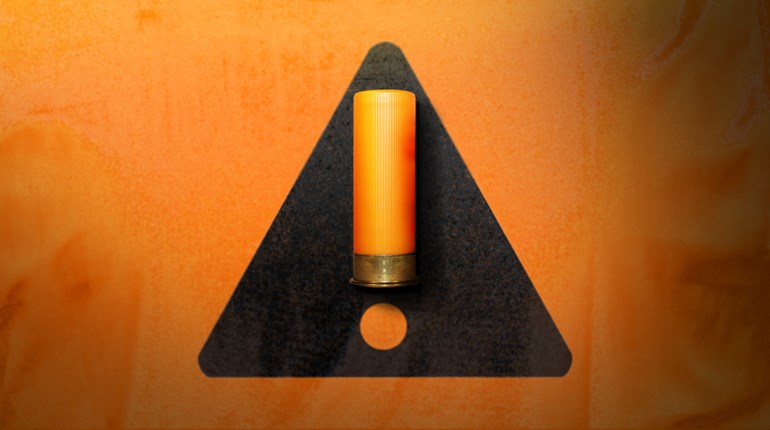 Attention: Lead Ammo Ban Threatens Minnesota Hunters | An Official Journal Of The NRA