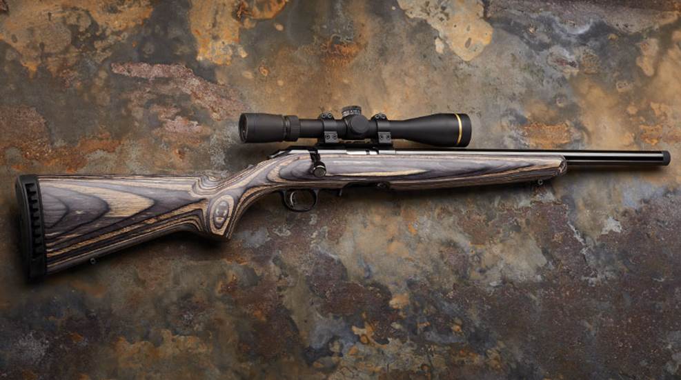 Ruger American Rimfire Target .17 HMR | An Official Journal Of The NRA
